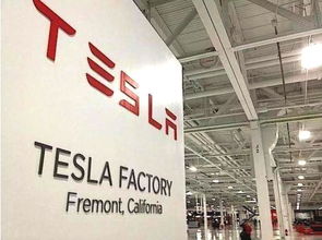 在“邪教”般的公司里热血沸腾 我的网络技术服务之旅